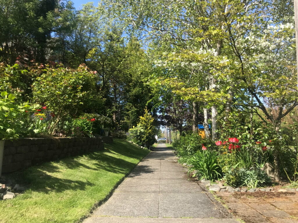 beautiful sidewalk in lincoln district tacoma