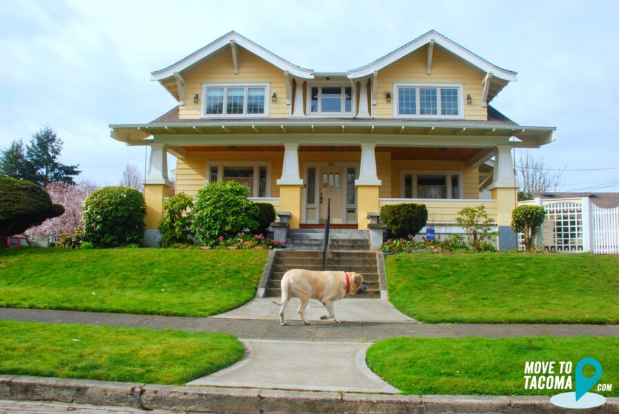 A photo of a yellow house in the North Slope Historic District with a dog walking down the sidewalk.