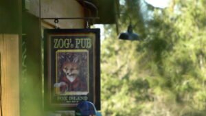 zogs pub sign fox island wa