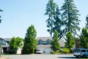 south hill neighborhood homes