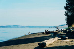 steilacoom beach summer