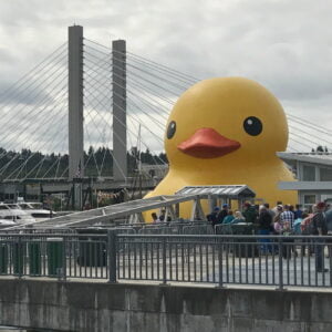 the duck in tacoma