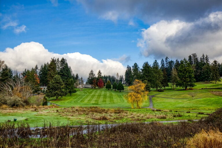 artondale neighborhood gig harbor wa Move to Move to