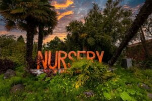 a red sign that says nursery surrounded by trees at sunset in ruston washington