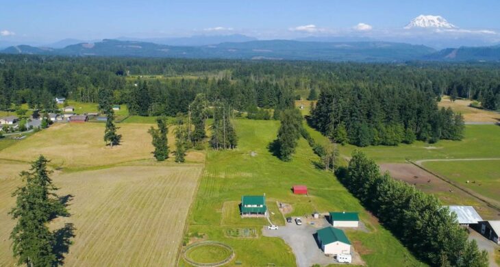 homes on large properties with mt rainier in the distance photographed from above