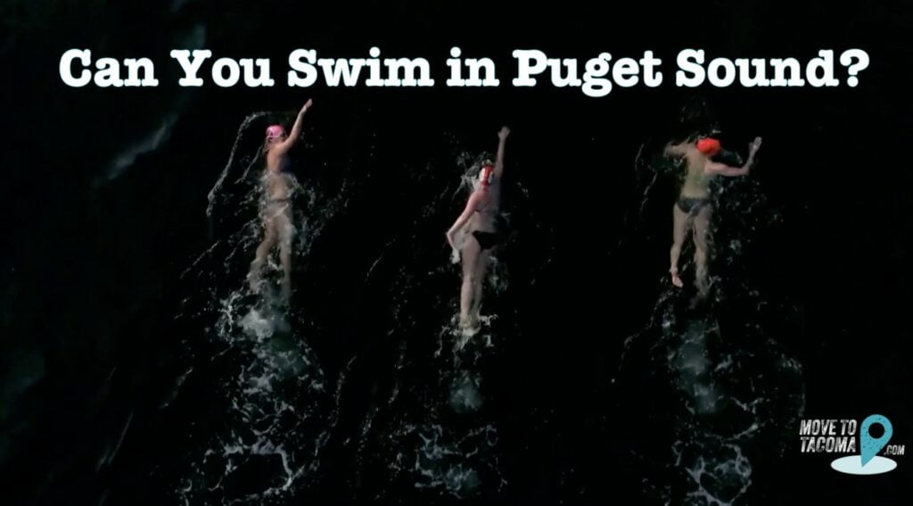three people swimming in the puget sound in tacoma washington with the move to tacoma logo in the corner